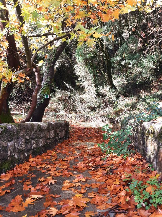 Отель Agropoli Nimfasia Экстерьер фото